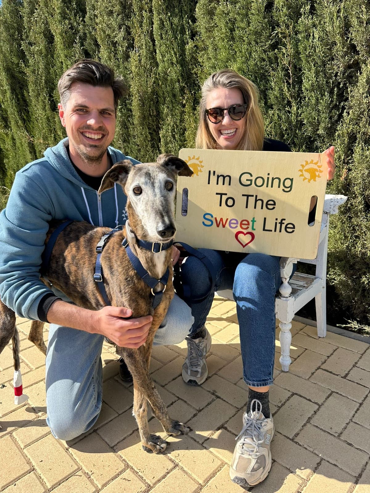 Fenix at Galgos del Sol